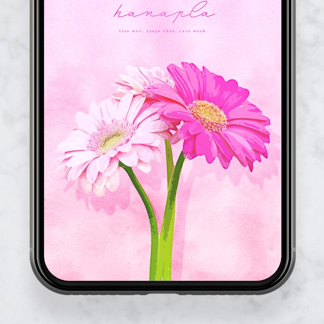 【復縁成就の3本ピンクガーベラ・愛の誓い】🌸「愛しています」を込めた3本の花💖失った恋を再び結ぶ奇跡の開運待受✨