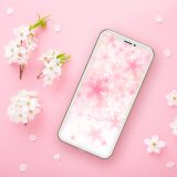 【満開さくら花盛りパステル空】🌸幸福の花が咲き誇る春の光✨愛と幸運を呼ぶピンクの開運待ち受け💖