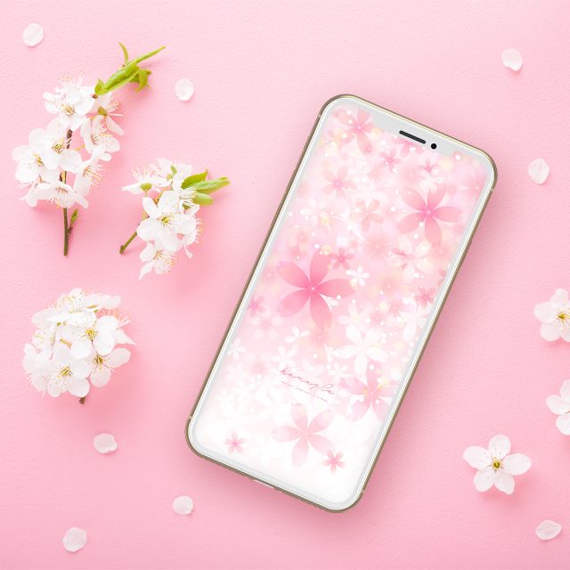 【満開さくら花盛りパステル空】🌸幸福の花が咲き誇る春の光✨愛と幸運を呼ぶピンクの開運待ち受け💖