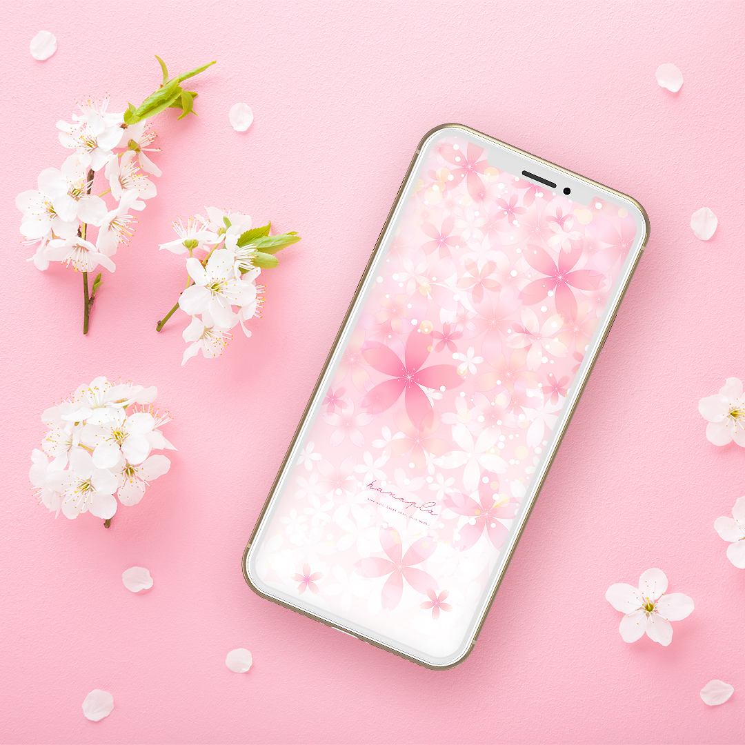 【満開さくら花盛りパステル空】🌸幸福の花が咲き誇る春の光✨愛と幸運を呼ぶピンクの開運待ち受け💖