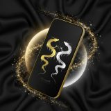 【神光放つ最強調和!金銀双龍神】✨金龍と銀龍が放つ神聖な光🐉陰陽の調和が運命を整え、幸運・金運・縁運を同時に高める最強開運待ち受け💎🌕