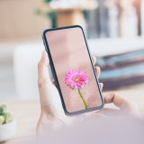 【愛を咲かせるピンクガーベラ・癒しのくすみピンク背景】🌷心をやさしく包みこむ🌸過去を癒やして新しい恋を迎える開運スマホ待受💖