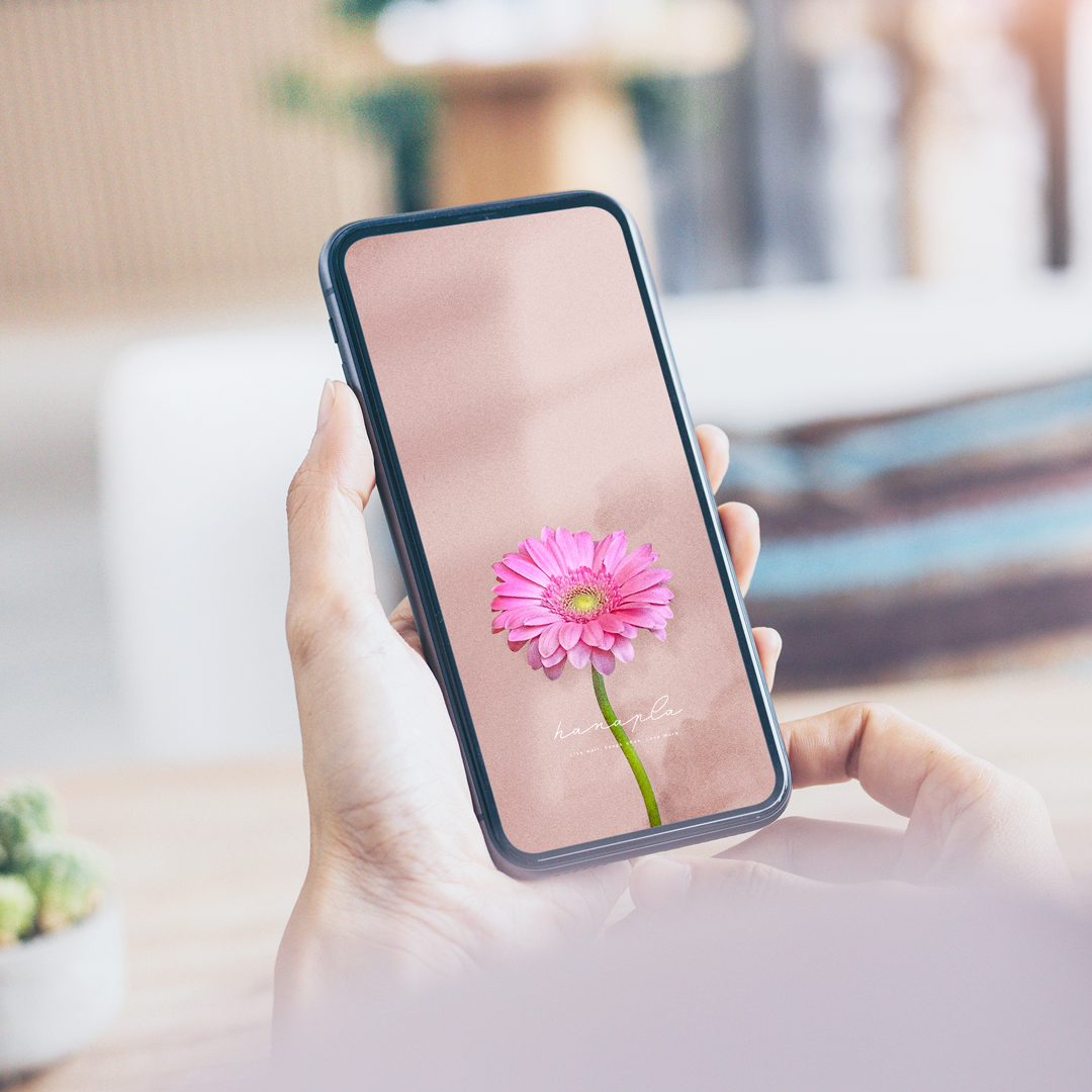 【愛を咲かせるピンクガーベラ・癒しのくすみピンク背景】🌷心をやさしく包みこむ🌸過去を癒やして新しい恋を迎える開運スマホ待受💖