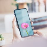 【愛を咲かせるピンクガーベラ・運命のブルー背景】💎心を澄ませて愛を受け取る✨真実の恋を呼び込む開運スマホ待受💙