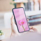 【愛を咲かせるピンクガーベラ・恋のピンク背景】💖優しい光に包まれて恋が芽生える🌸癒しと愛を引き寄せる開運スマホ待受✨