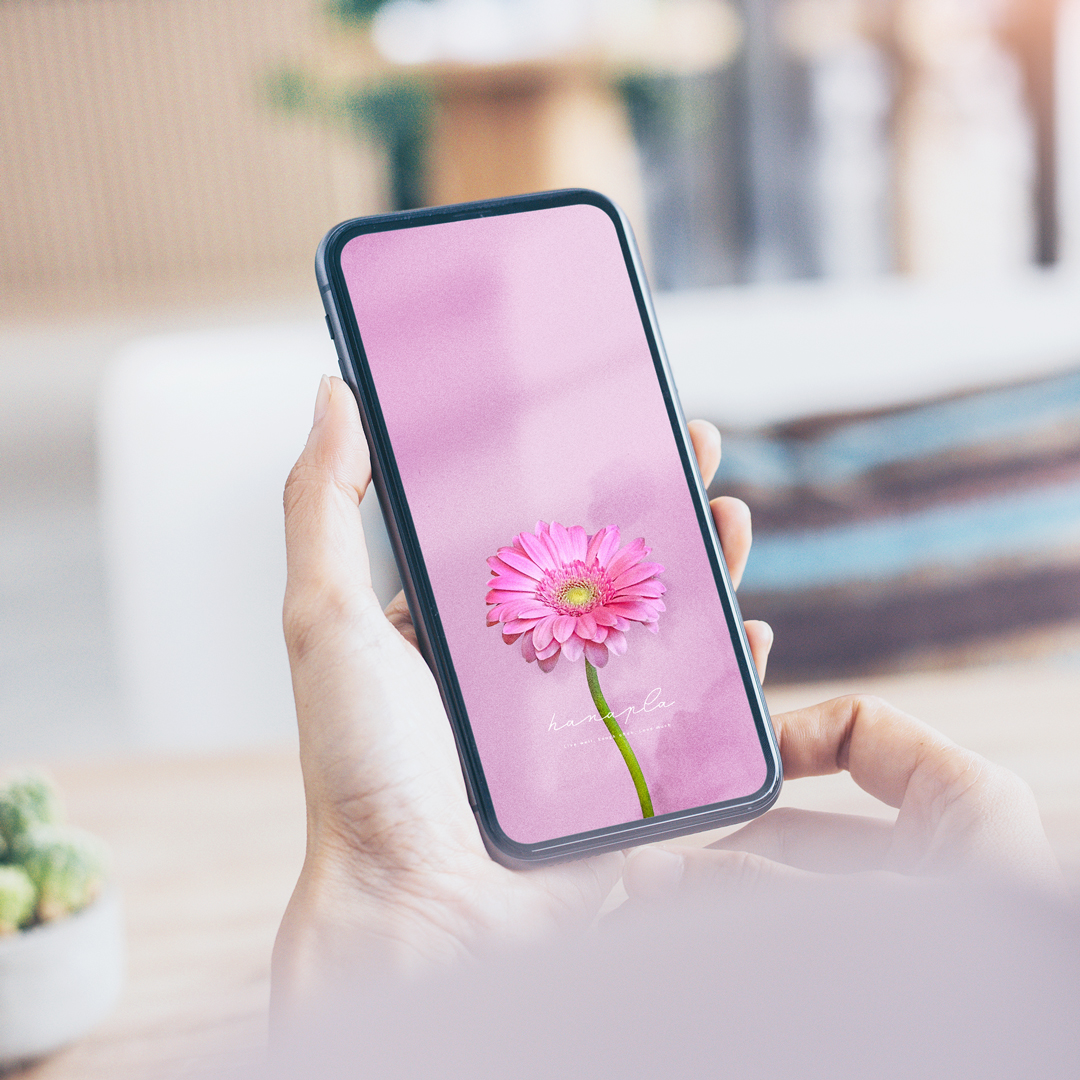 【愛を咲かせるピンクガーベラ・恋のピンク背景】💖優しい光に包まれて恋が芽生える🌸癒しと愛を引き寄せる開運スマホ待受✨