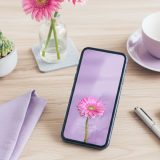 【愛を咲かせるピンクガーベラ・神秘のパープル背景】💜直感が導く運命の出会い🌙心を満たす愛と絆を呼び込む開運スマホ待受✨