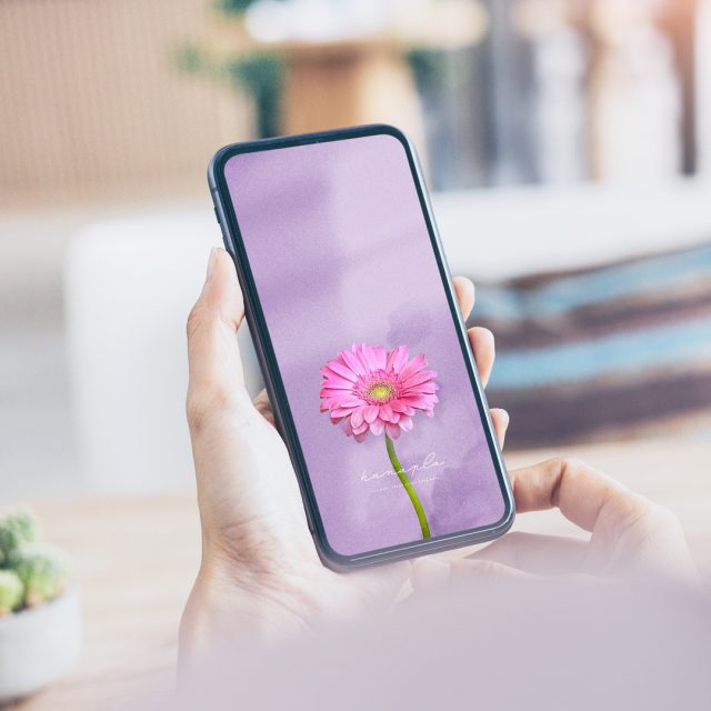 【愛を咲かせるピンクガーベラ・神秘のパープル背景】💜直感が導く運命の出会い🌙心を満たす愛と絆を呼び込む開運スマホ待受✨