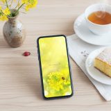 【菜の花とてんとう虫の幸せ日和】🌼🍀春の陽だまりに舞う光✨小さな幸運を運ぶ開運スマホ壁紙💫