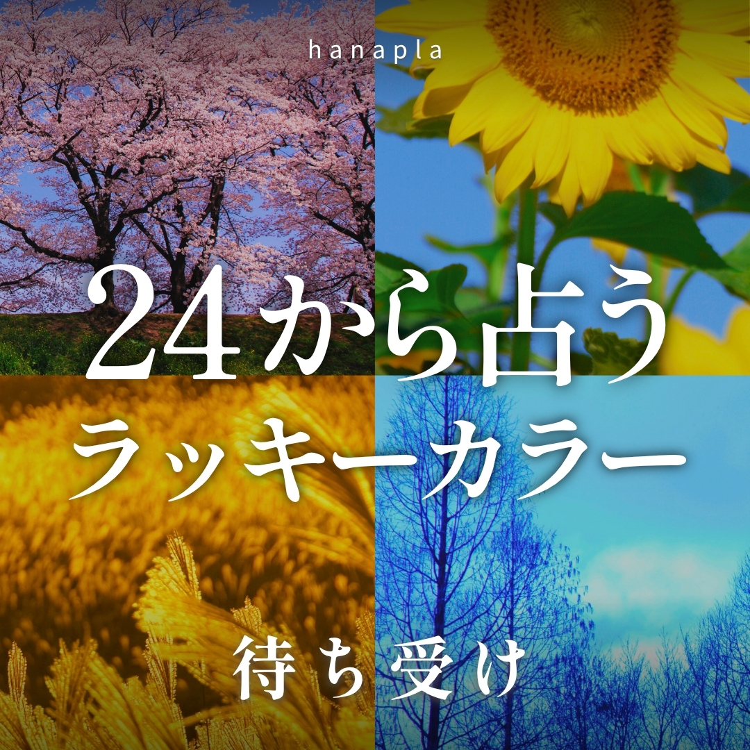 【ハナプラ色占い】季節のラッキーカラーで開運🌈運気アップ待ち受け画像まとめ🌸