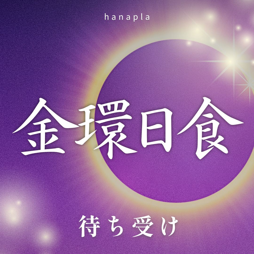 金環日食(炎の輪)とは?🌙2026年2月17日は日本で見られる?火の馬の年の節目に整える待ち受け画像🐎