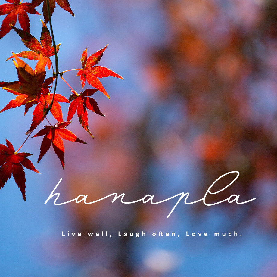 【真っ赤な紅葉】秋の風景壁紙！青空ともみじの赤色が美しい秋の待ち受け画像