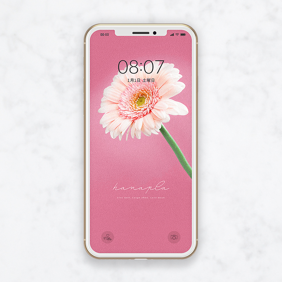 恋愛成就の超強力待ち受け ピンクのガーベラのスマホ壁紙 おしゃれ待ち受け画像のハナプラ スマホ壁紙 無料 運気 シンプル Iphone 高画質