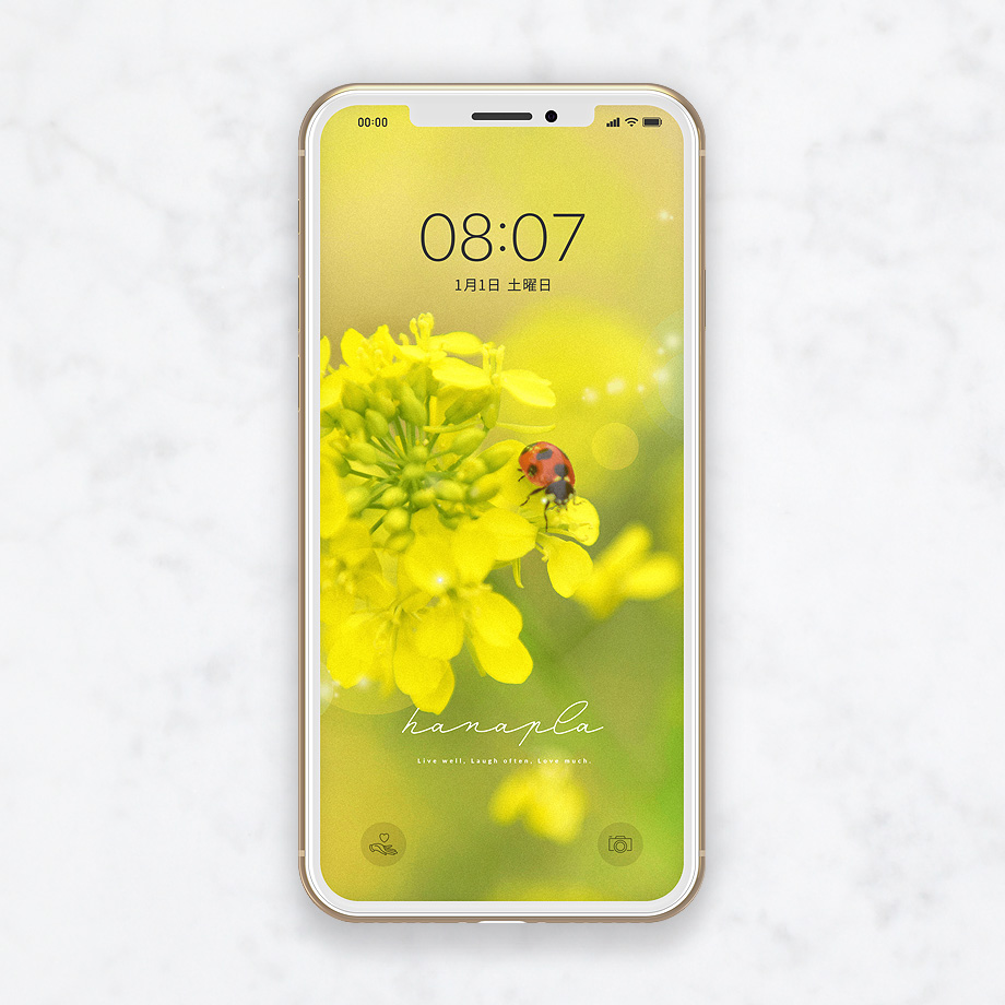 幸運を呼ぶ てんとう虫 と 黄色い菜の花 の待ち受け画像 おしゃれ待ち受け画像のハナプラ スマホ壁紙 無料 運気 シンプル Iphone 高画質