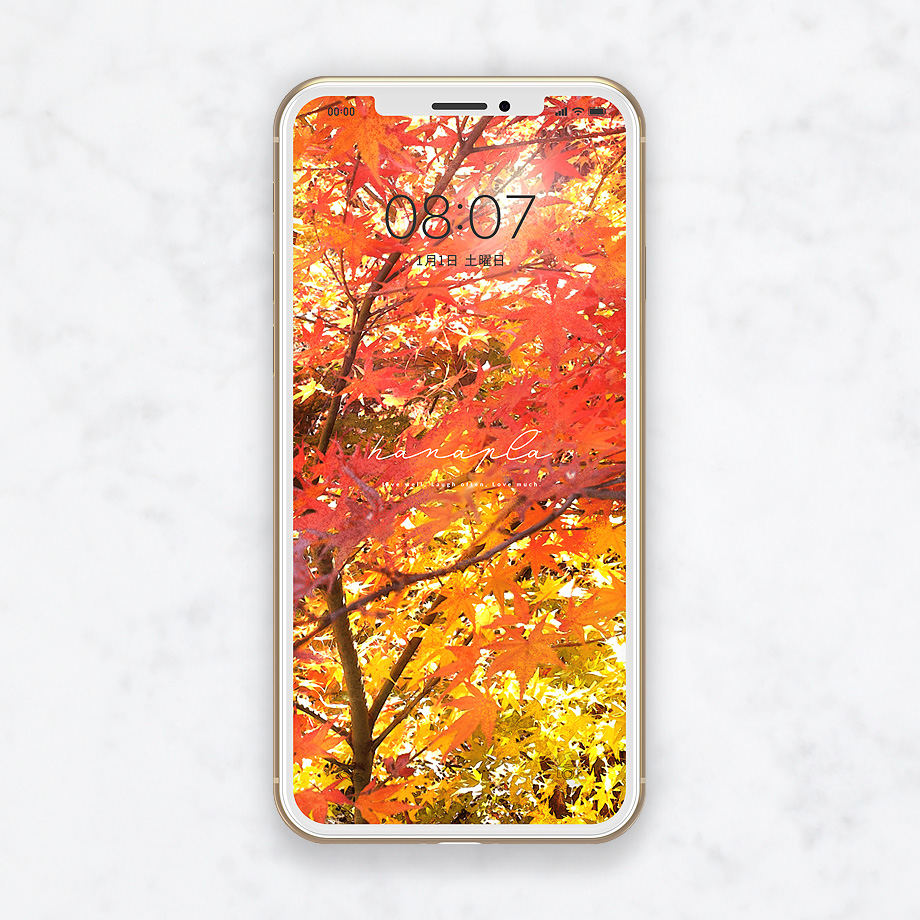 紅葉の待ち受け 鮮やかな紅葉が美しい秋のスマホ壁紙 おしゃれ待ち受け画像ハナプラ スマホ壁紙 無料 運気 シンプル かわいい Iphone 高画質
