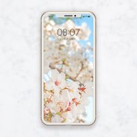 【桜の待ち受け】春を感じる桜の花が優雅で美しいスマホ壁紙