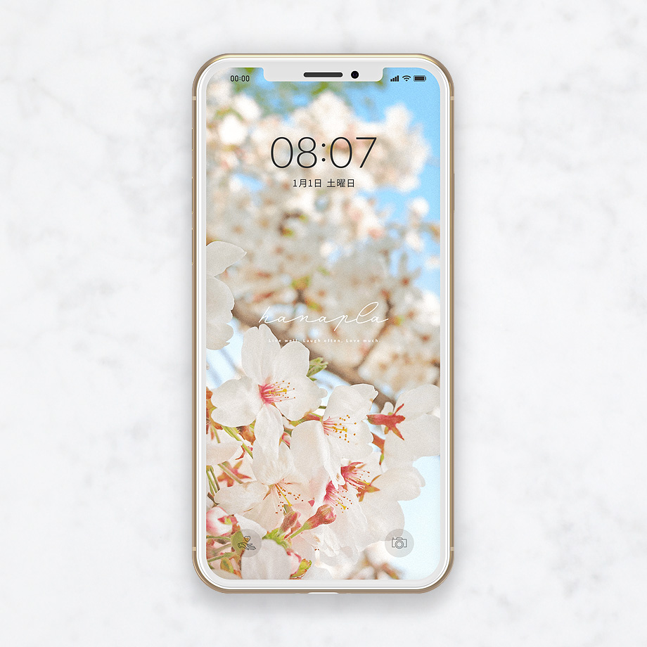 桜の待ち受け 春を感じる桜の花が優雅で美しいスマホ壁紙 公式 待ち受け運気効果ハナプラ おしゃれ シンプル かわいい Iphone 高画質 スマホ 壁紙