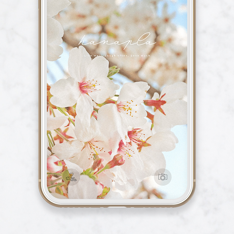 桜の待ち受け 春を感じる桜の花が優雅で美しいスマホ壁紙 公式 待ち受け運気効果ハナプラ おしゃれ シンプル かわいい Iphone 高画質 スマホ壁紙 桜の待ち受け 春を感じる桜の花が優雅で美しいスマホ壁紙 公式 待ち受け運気効果ハナプラ おしゃれ シンプル かわいい Iphone 高画質 スマホ壁紙