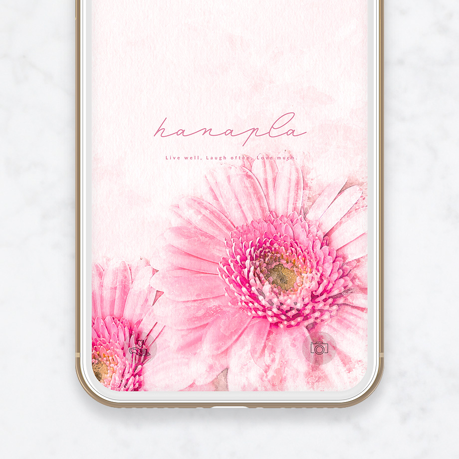 ピンクの花待ち受けで恋愛運最強up ピンクガーベラのおしゃれなスマホ壁紙 公式 運気アップ待ち受けハナプラ おしゃれ シンプル かわいい Iphone 高画質 スマホ壁紙