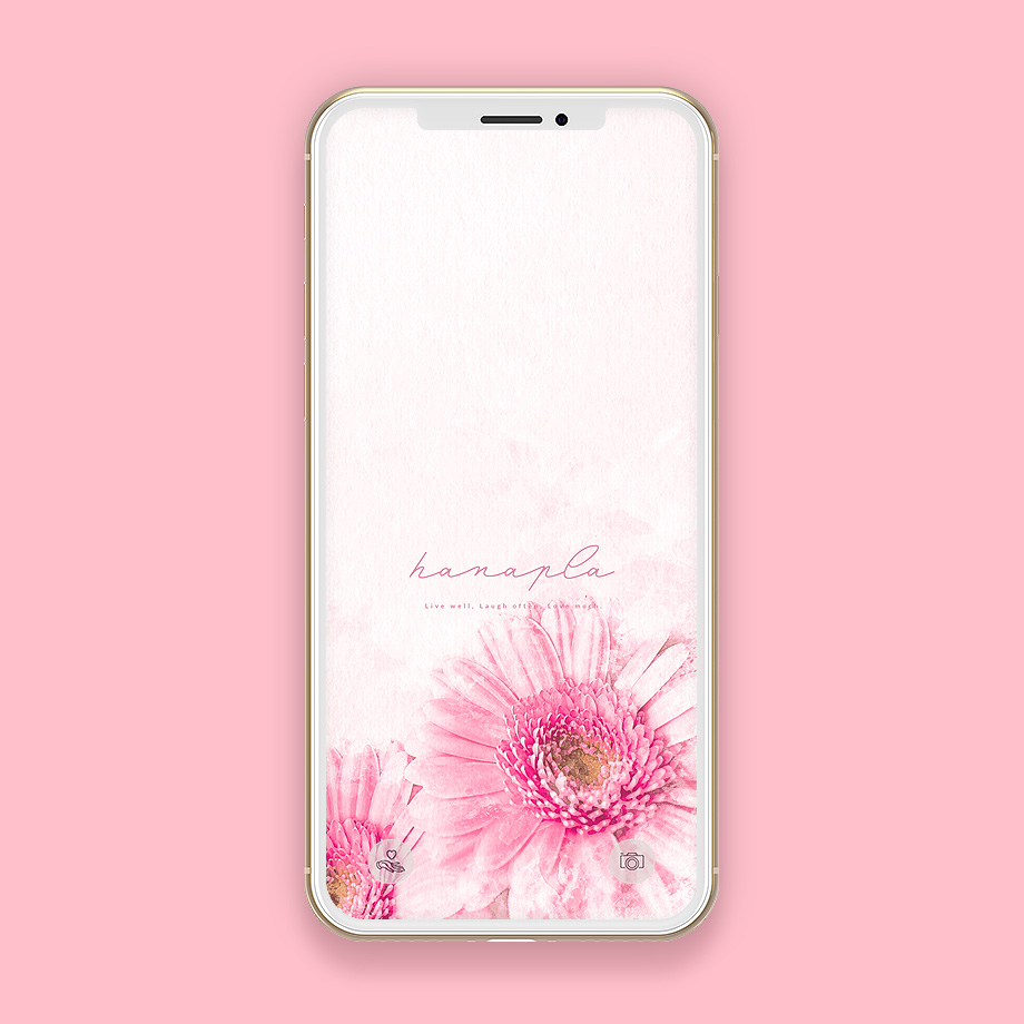 ピンクの花待ち受けで恋愛運最強up ピンクガーベラのおしゃれなスマホ壁紙 おしゃれ待ち受け画像のハナプラ スマホ壁紙 無料 運気 シンプル Iphone 高画質