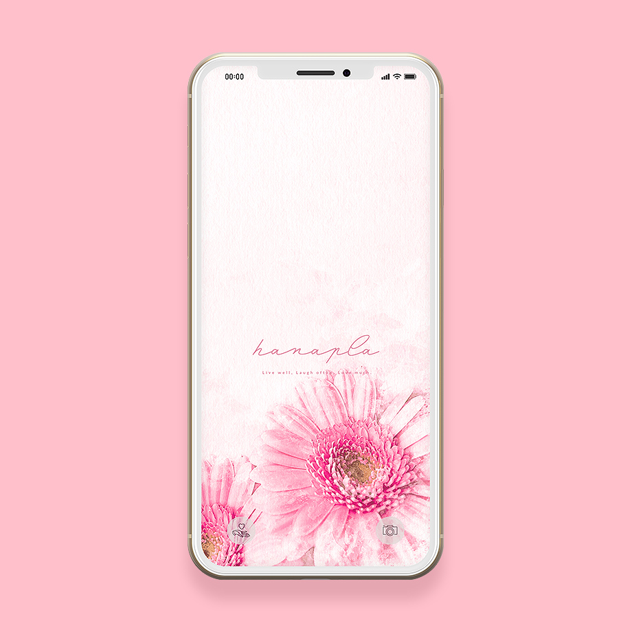 ピンクの花待ち受けで恋愛運最強up ピンクガーベラのおしゃれなスマホ壁紙 公式 待ち受け運気効果ハナプラ おしゃれ シンプル かわいい Iphone 高画質 スマホ壁紙