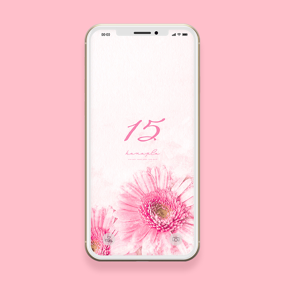 【数字15とピンクの花】おしゃれな恋愛運アップ待ち受け！数字15とピンクガーベラの壁紙