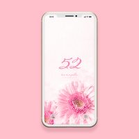【数字52とピンクの花】アイデアで大金と恋をつかむ！数字「52」とピンクガーベラの携帯壁紙
