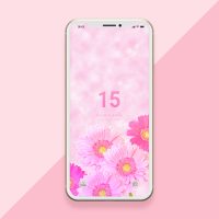【恋愛数字15】魅力を高めて運気アップ！キラキラ系ピンクガーベラの待ち受け画像