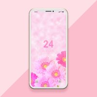 【金運数字で恋愛運も】強力な数字24とキラキラ系ピンクガーベラの待ち受け画像