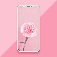 【花・花柄】女性の開運に！おしゃれ可愛い花の待ち受け画像（スマホ壁紙）