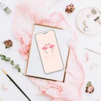 フラミンゴハートの待ち受けで恋が叶う！シンプルでかわいい恋愛運アップ壁紙